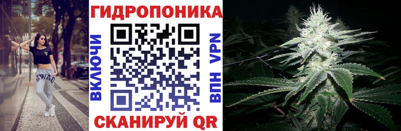 Бошки марихуана планчик  Купить закладки  Дубна 